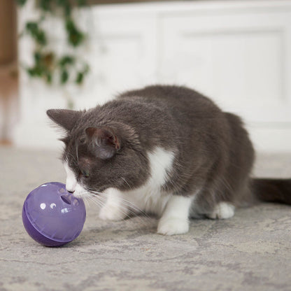 Cat Treat Enrichment Ball
