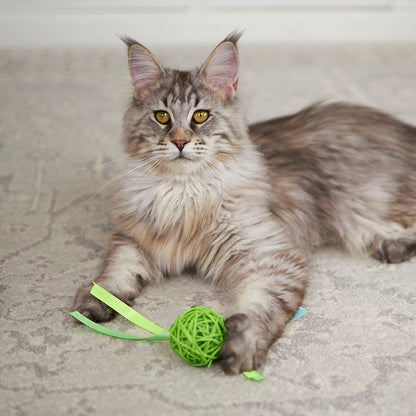 Kitty Wicker Play Ball