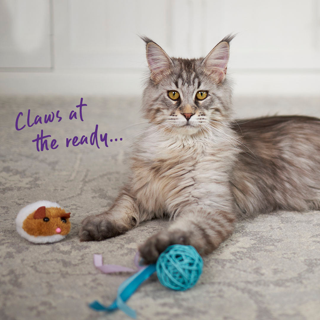 Kitty Wicker Play Ball