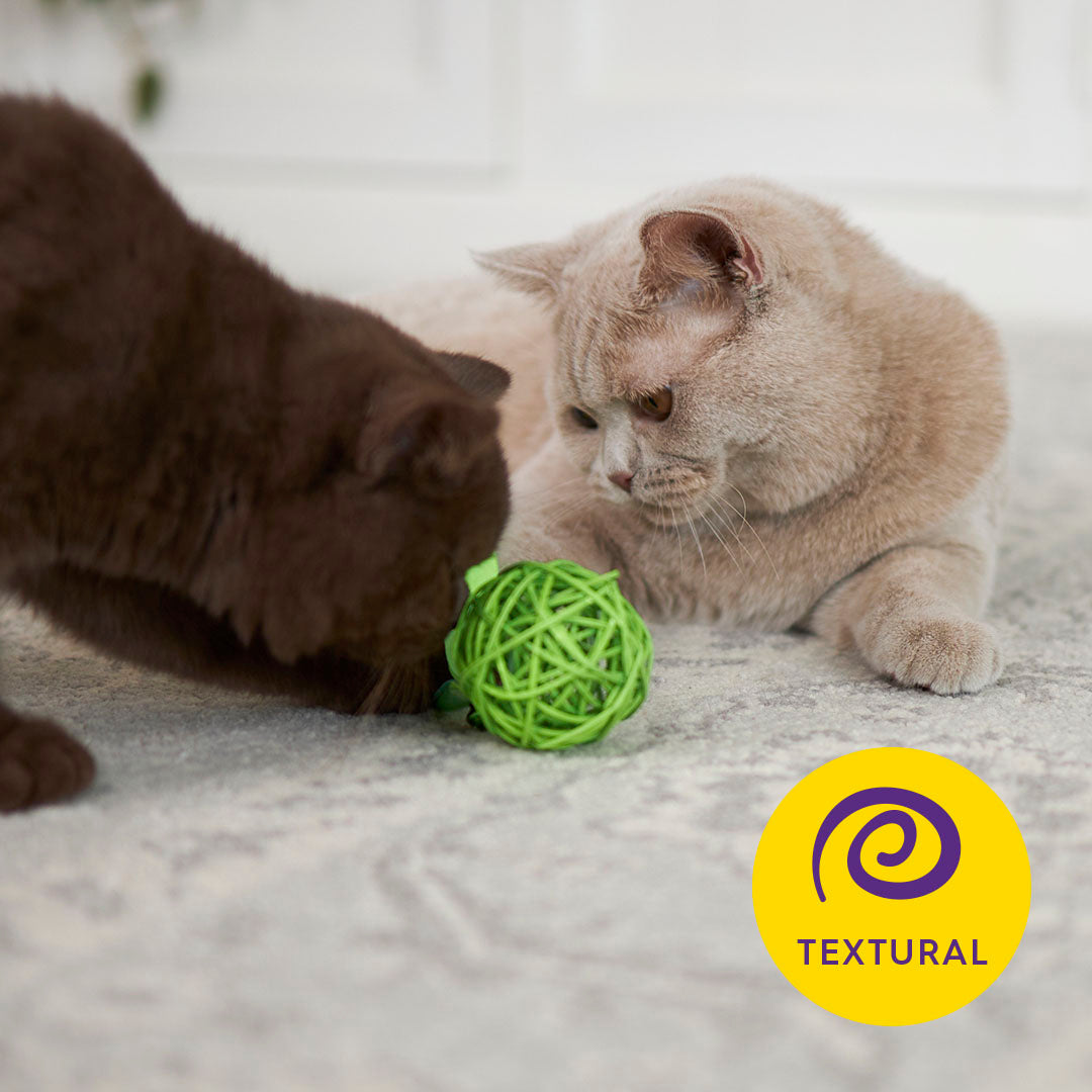 Kitty Wicker Play Ball