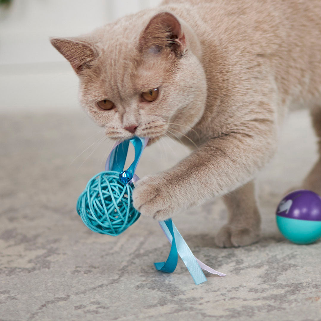 Kitty Wicker Play Ball