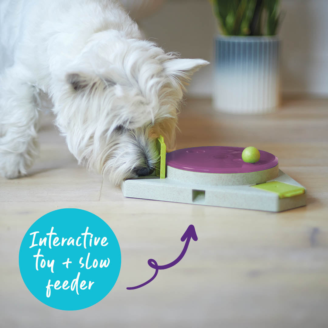 Triangle Turn Interactive Puzzle Play Cat Toy