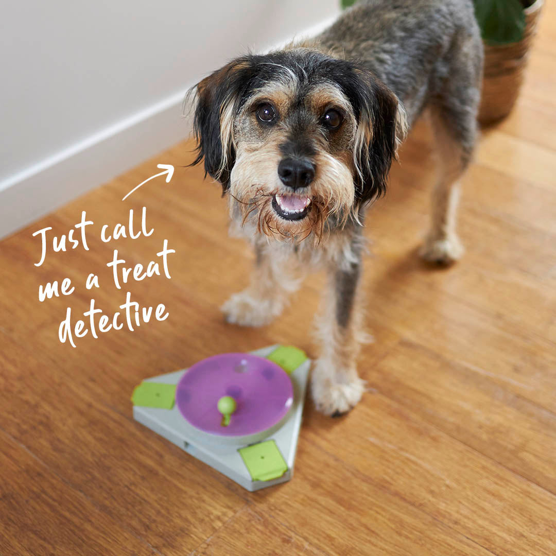 Triangle Turn Interactive Puzzle Play Cat Toy