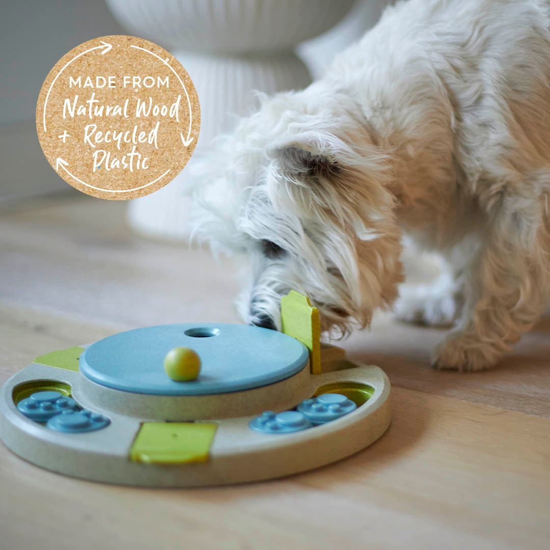 Circle Slider Interactive Cat Puzzle Toy