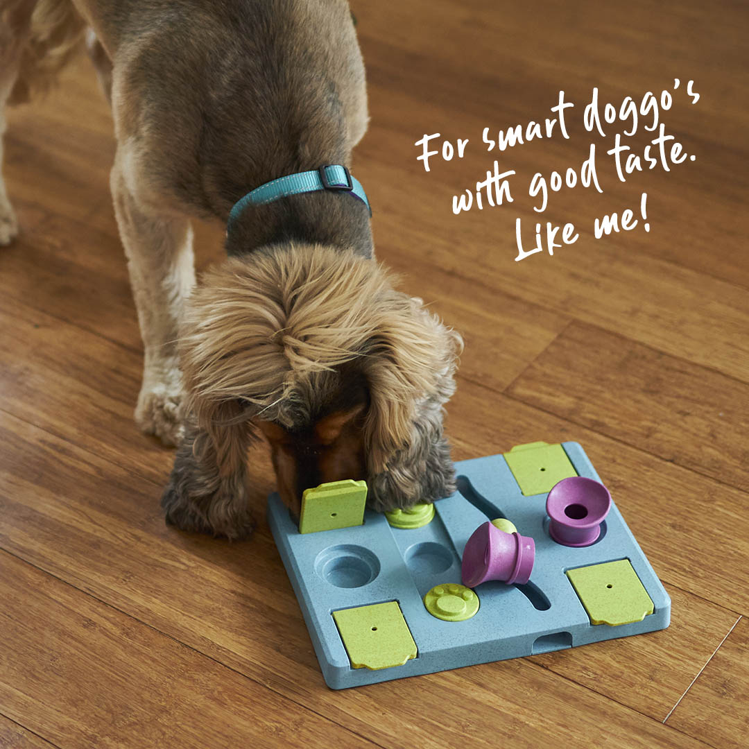 Rectangle Rumble Interactive Puzzle Cat Toy