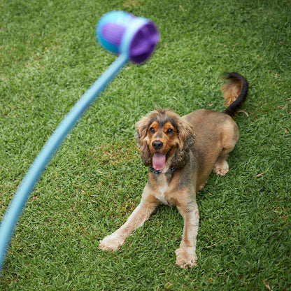 Adjustable Eco-Friendly Ball Thrower