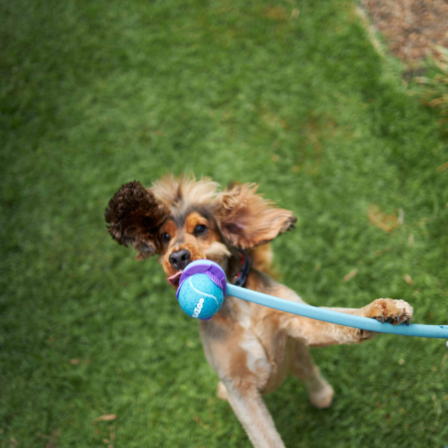 Adjustable Eco-Friendly Ball Thrower