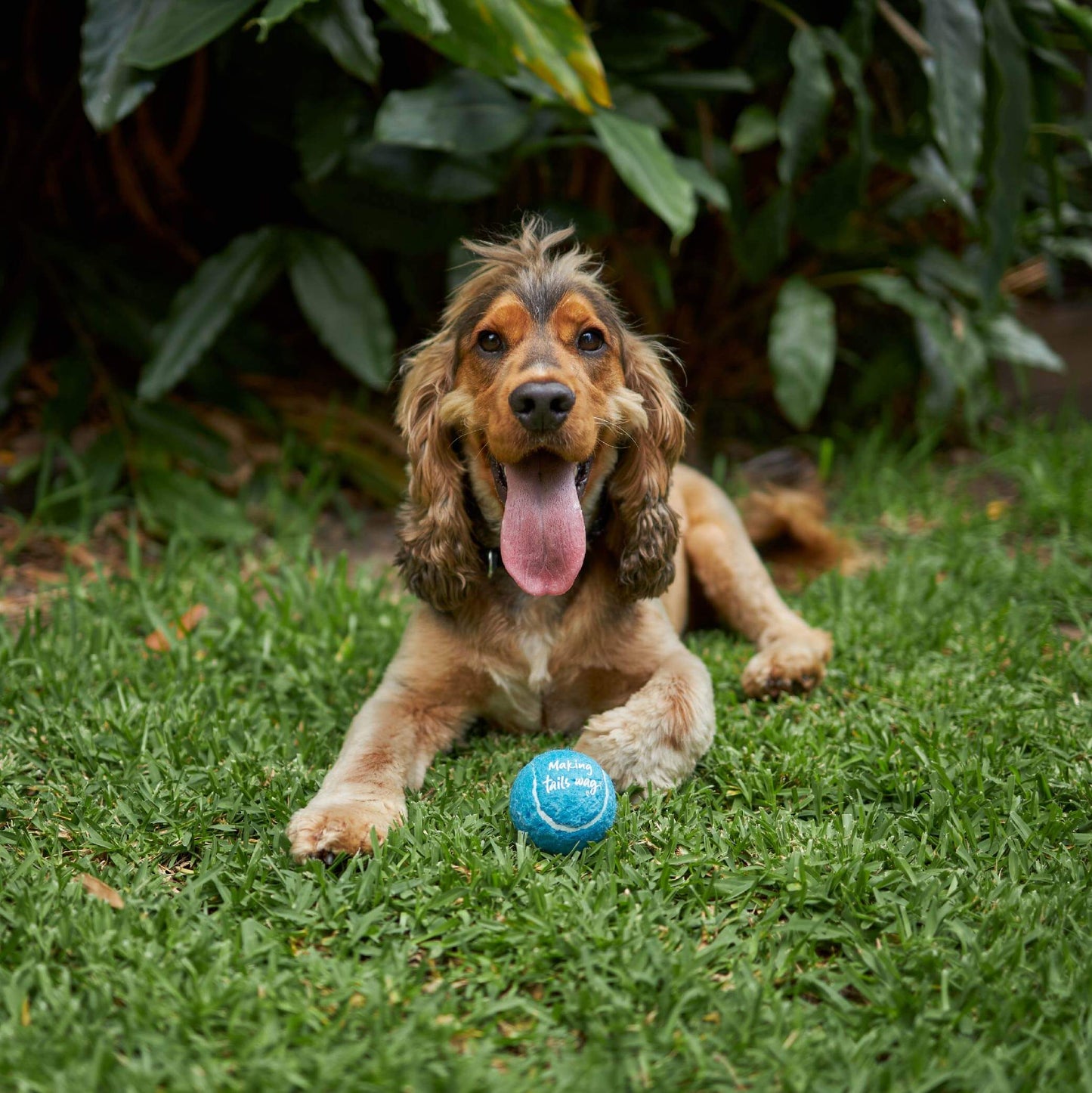 Adjustable Eco-Friendly Ball Thrower