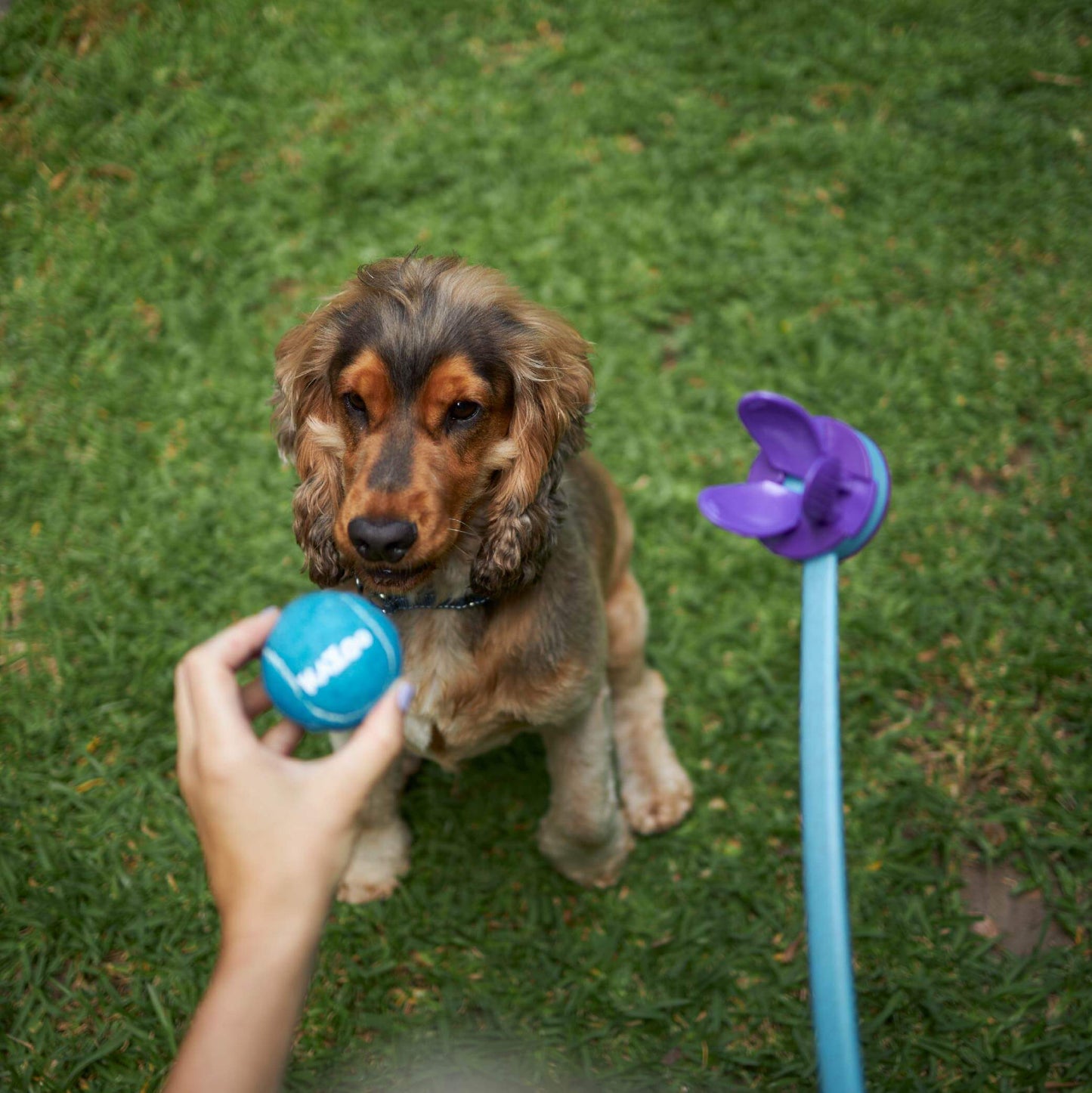 Adjustable Eco-Friendly Ball Thrower