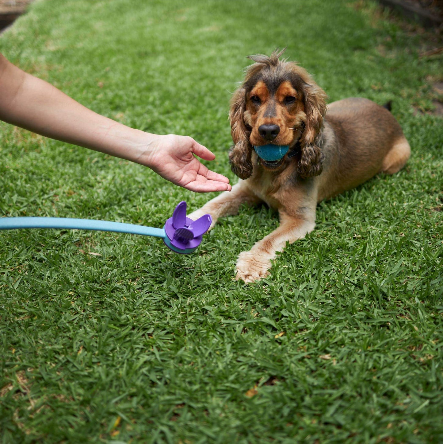Adjustable Eco-Friendly Ball Thrower