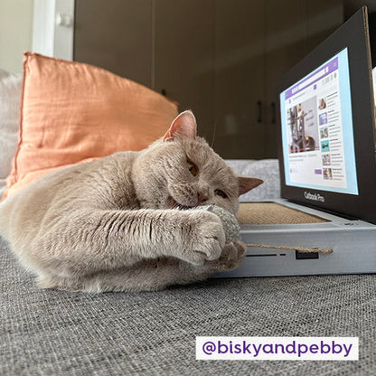 Catbook Pro - Cardboard Cat Laptop