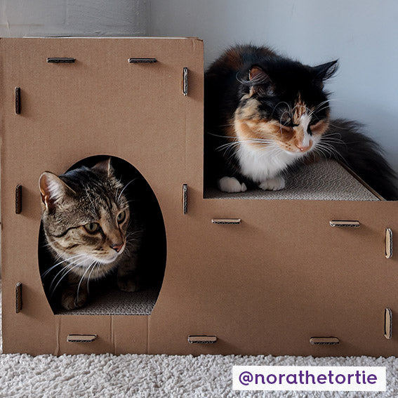 Two Story Kitty Villa