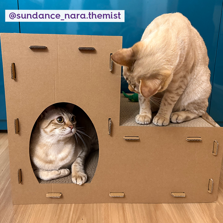 Two Story Kitty Villa