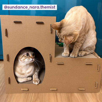 Two Story Kitty Villa