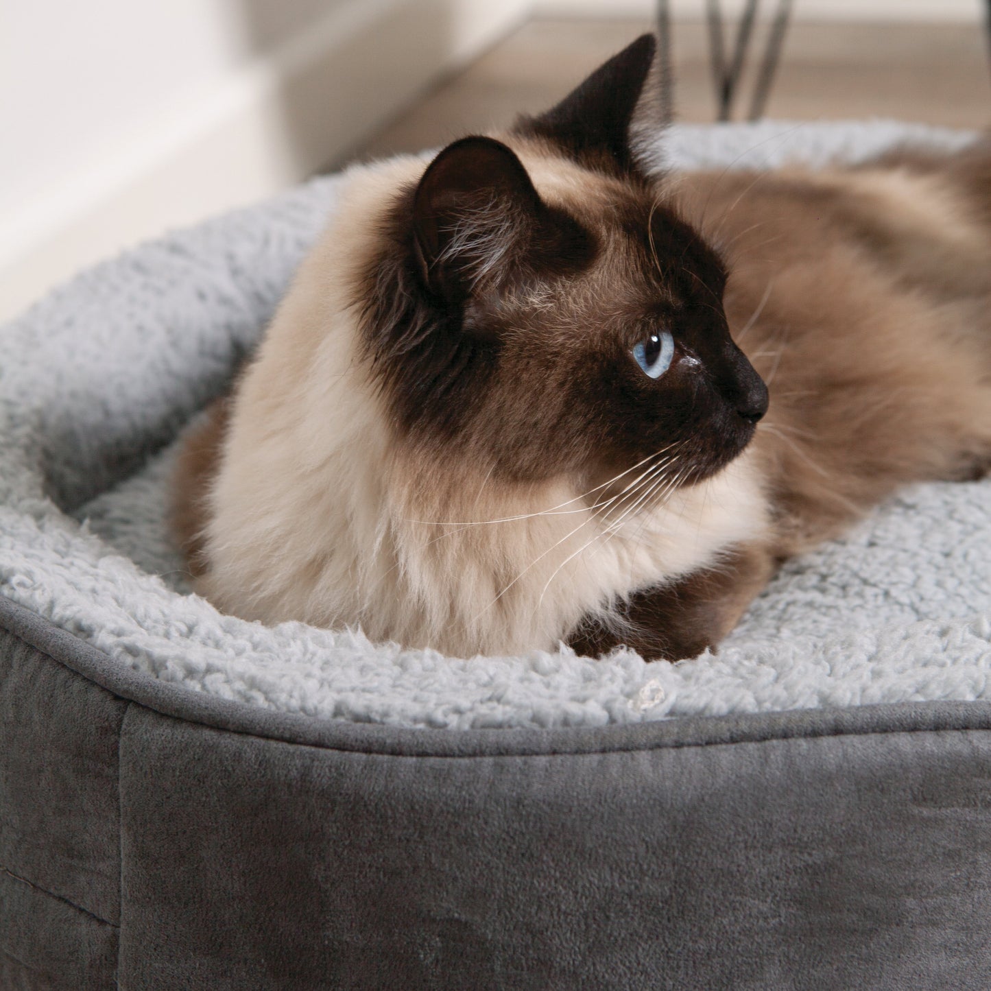 Manhattan Bed - Grey & White - Cat