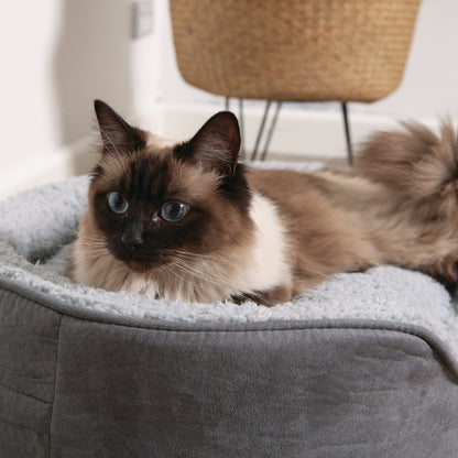 Manhattan Bed - Grey & White - Cat