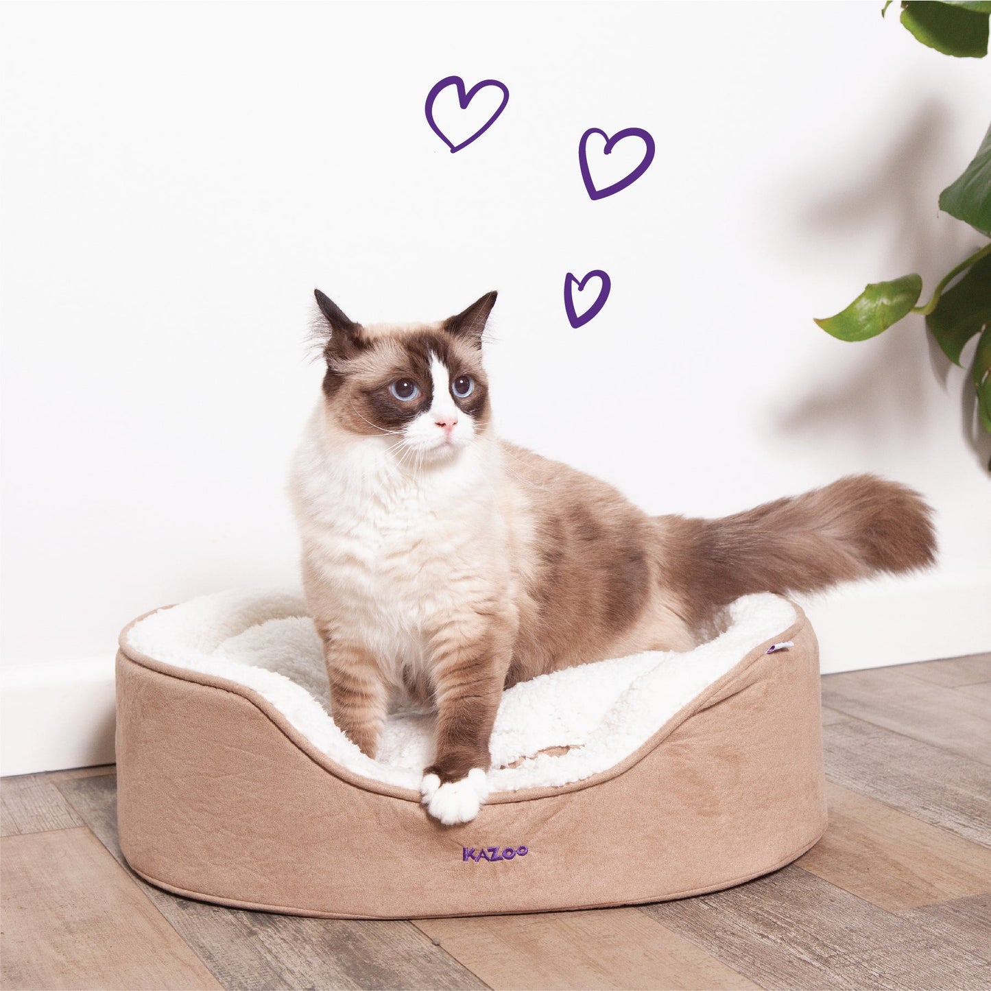 Manhattan Bed - Coffee & White - Cat