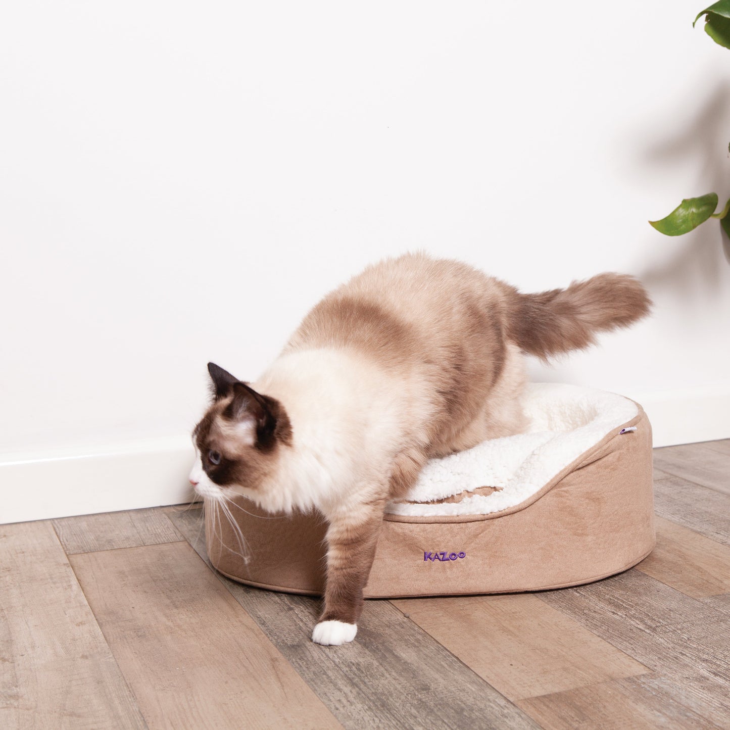 Manhattan Bed - Coffee & White - Cat