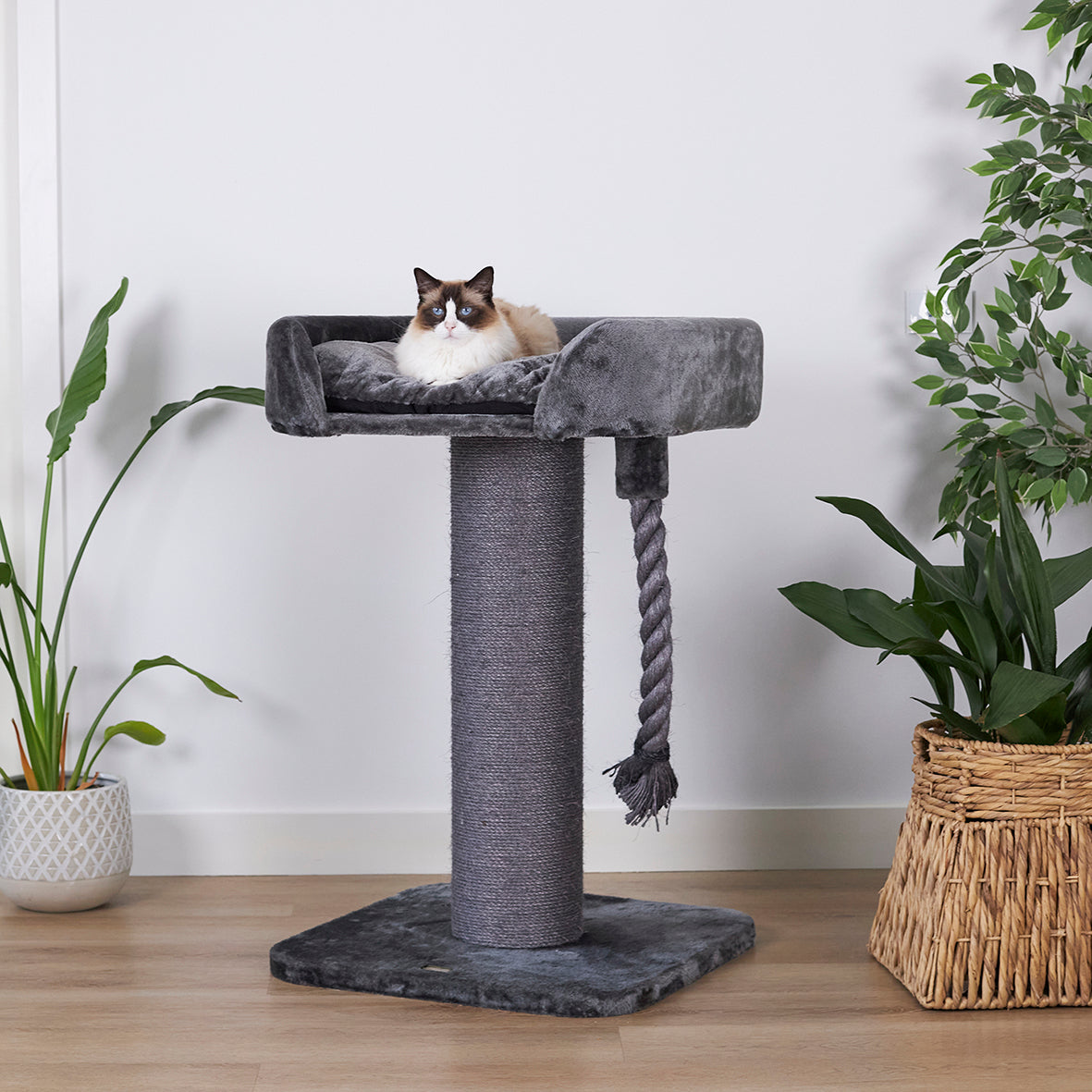 High Bed Cat Scratch Post - Charcoal Plush