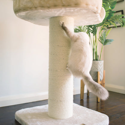 High Bed Cat Scratch Post - Cream Plush