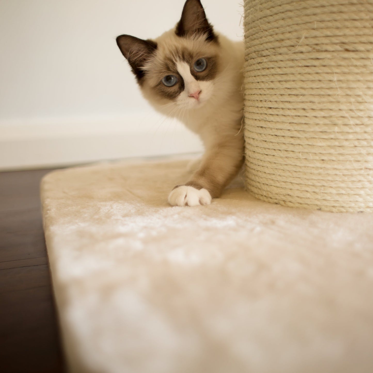 High Bed Cat Scratch Post - Cream Plush