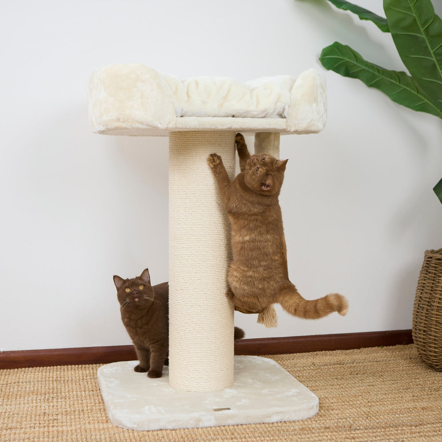 High Bed Cat Scratch Post - Cream Plush