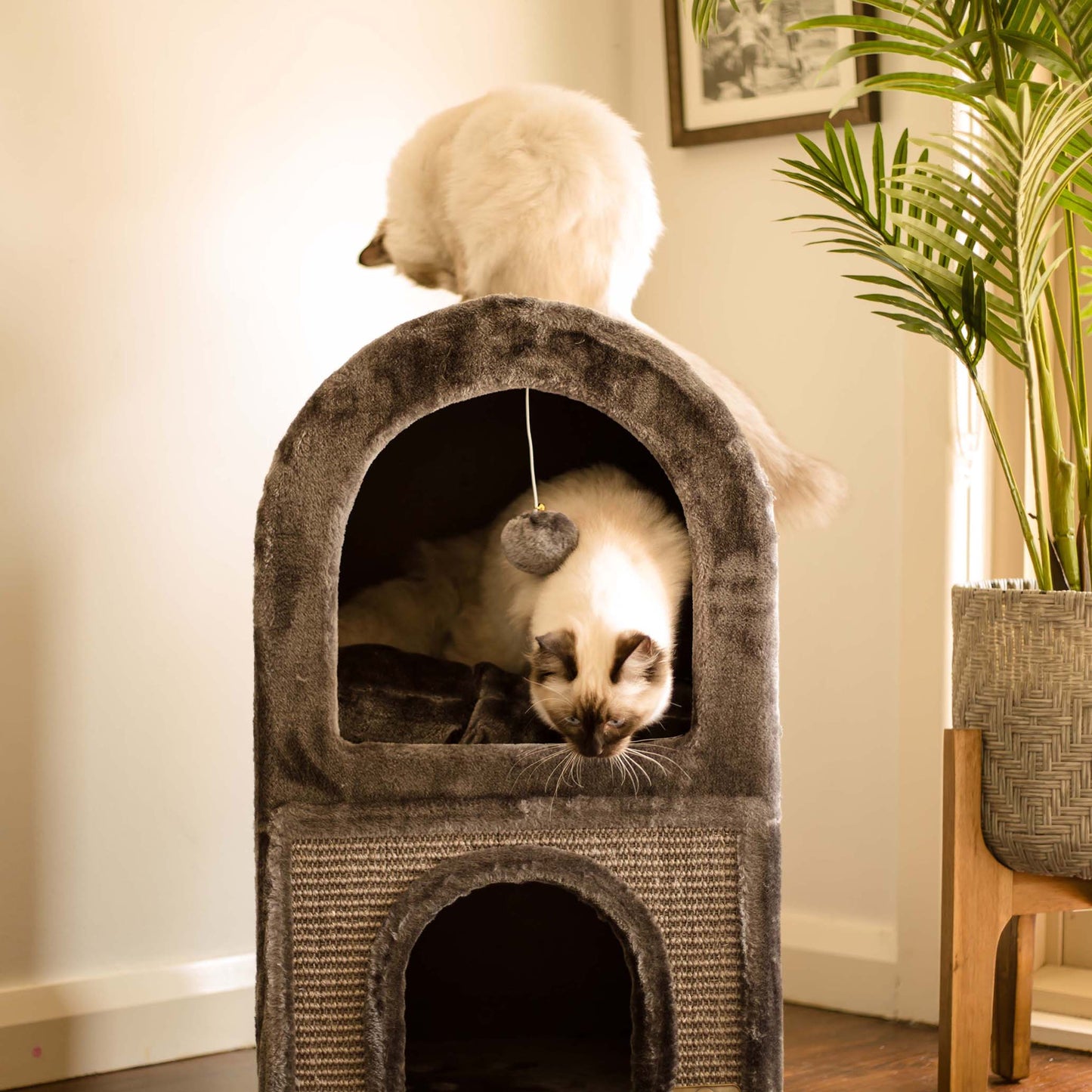 2 Chambers Cat Den - Charcoal