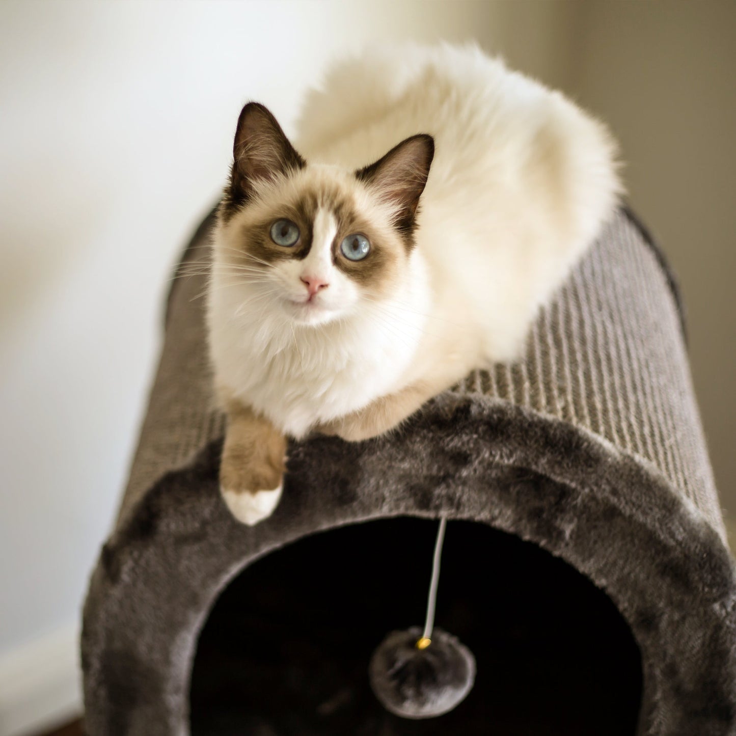 3 Chambers Cat Den - Charcoal