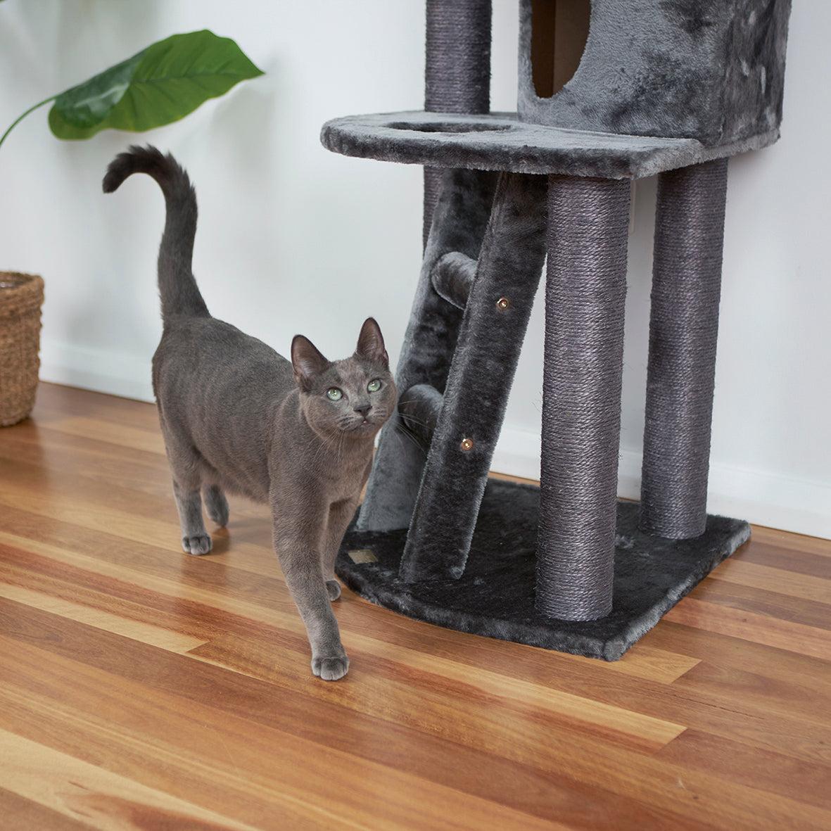 Corner 3 Level Cat Playground - Charcoal