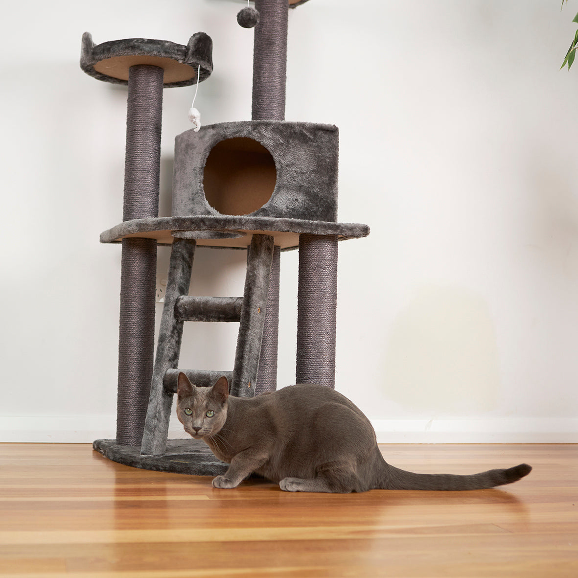 Corner 3 Level Cat Playground - Charcoal