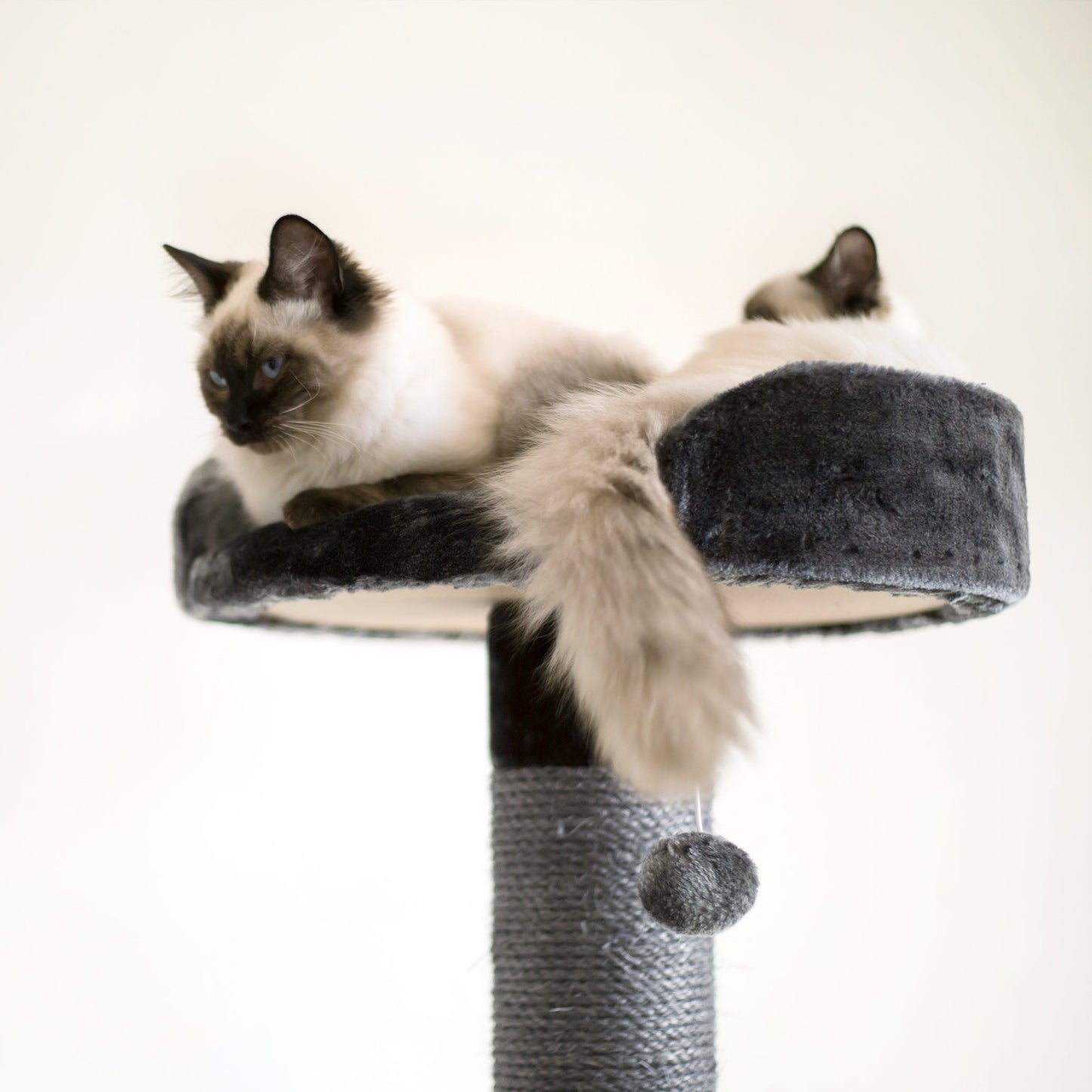 5 Level Cat Playground - Charcoal