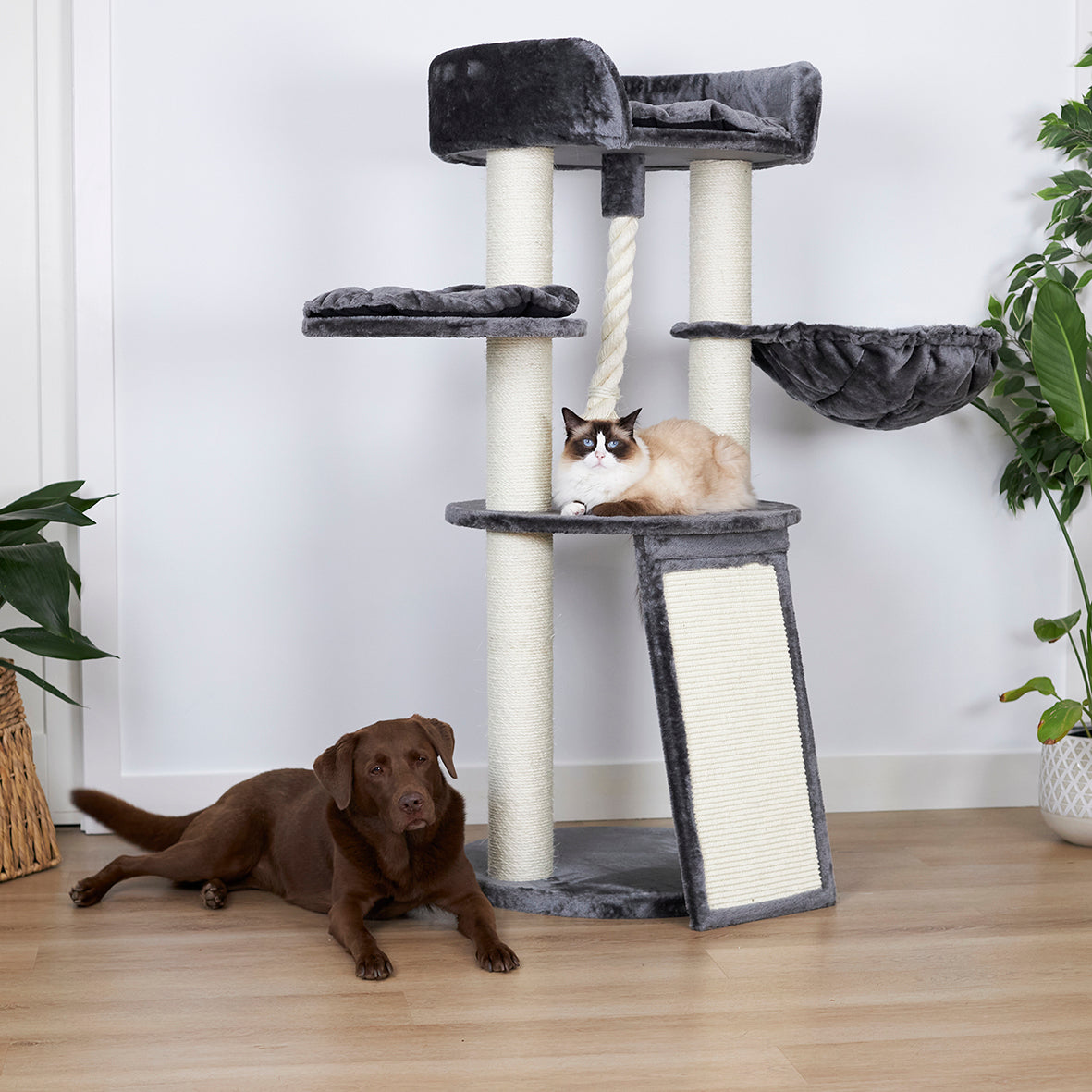 Kitty Scratch & Sleep Post - Cream & Charcoal