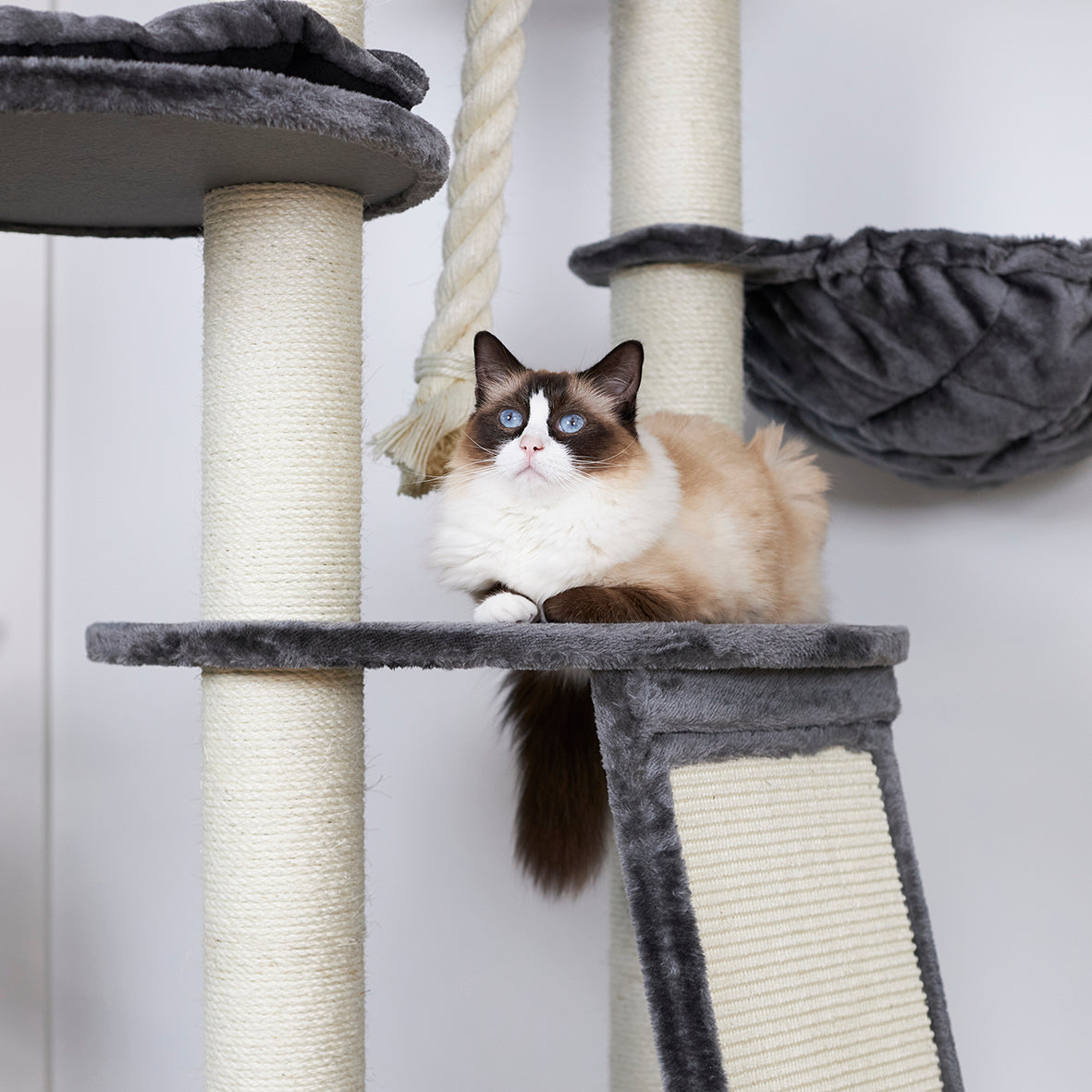 Kitty Scratch & Sleep Post - Cream & Charcoal