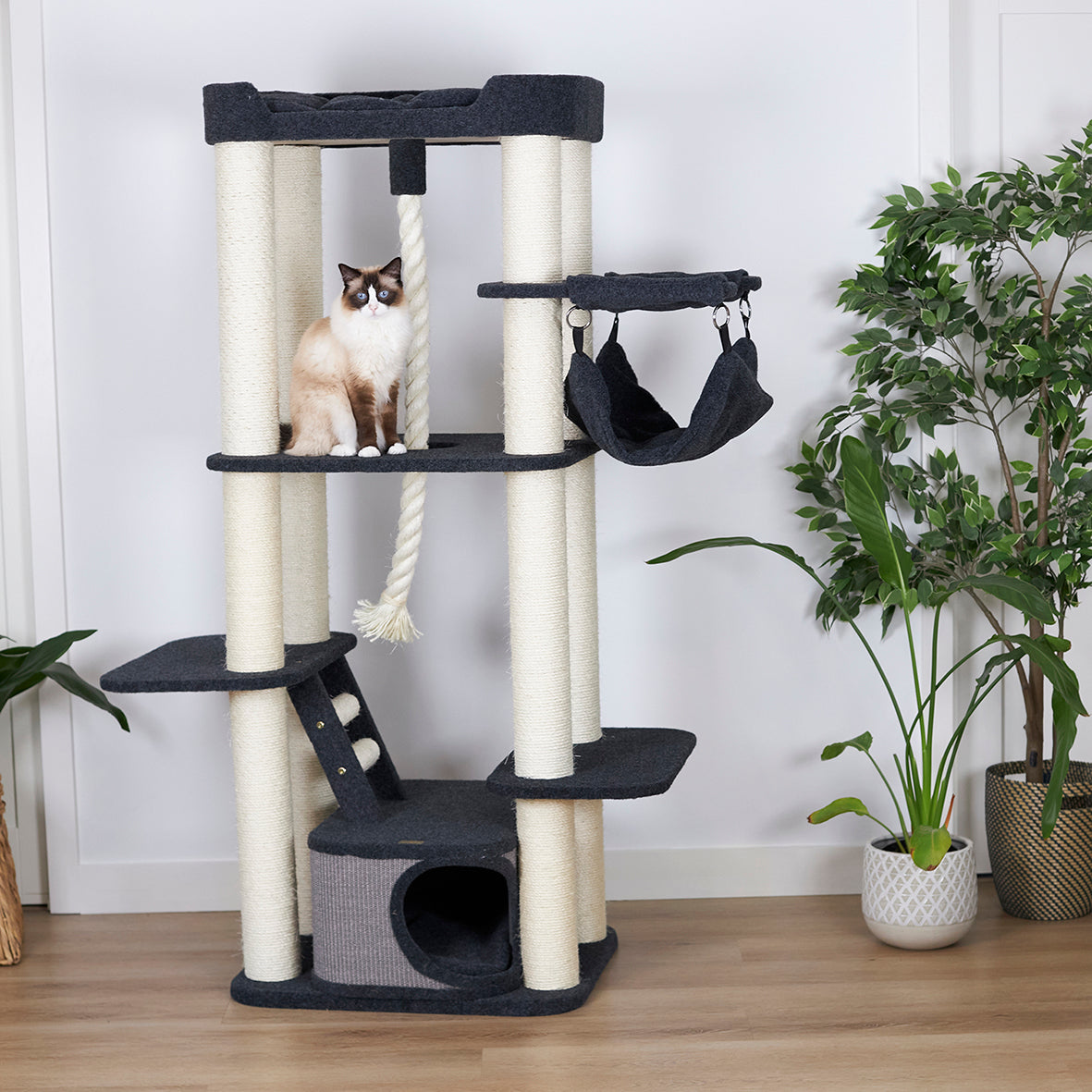 Kitty Climb Playground - Grey Carpet