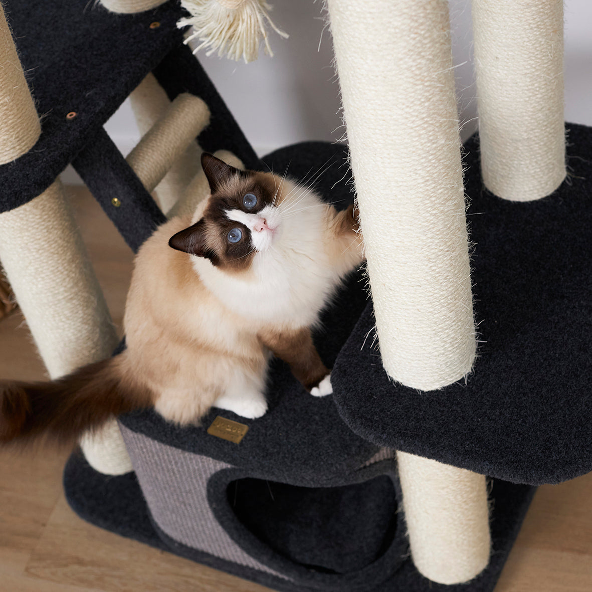 Kitty Climb Playground - Grey Carpet