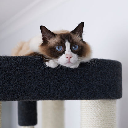 Kitty Climb Playground - Grey Carpet