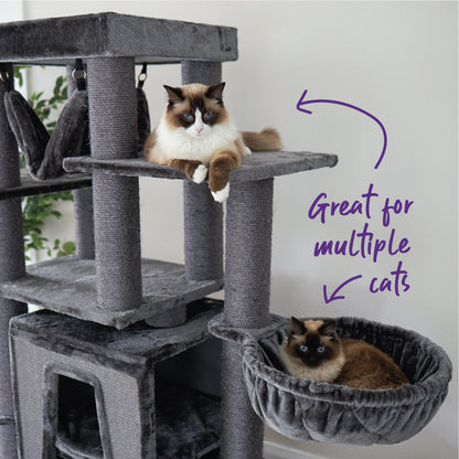 Kitty Tall Cubby Playground