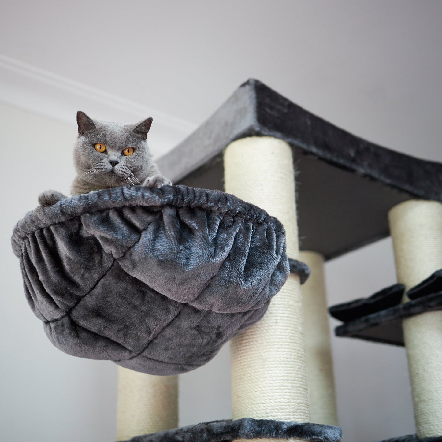 Kitty Tower Playground