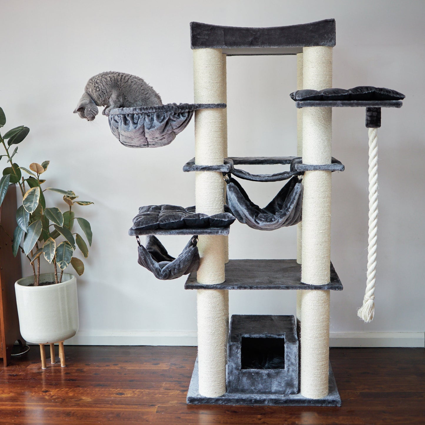 Kitty Tower Playground