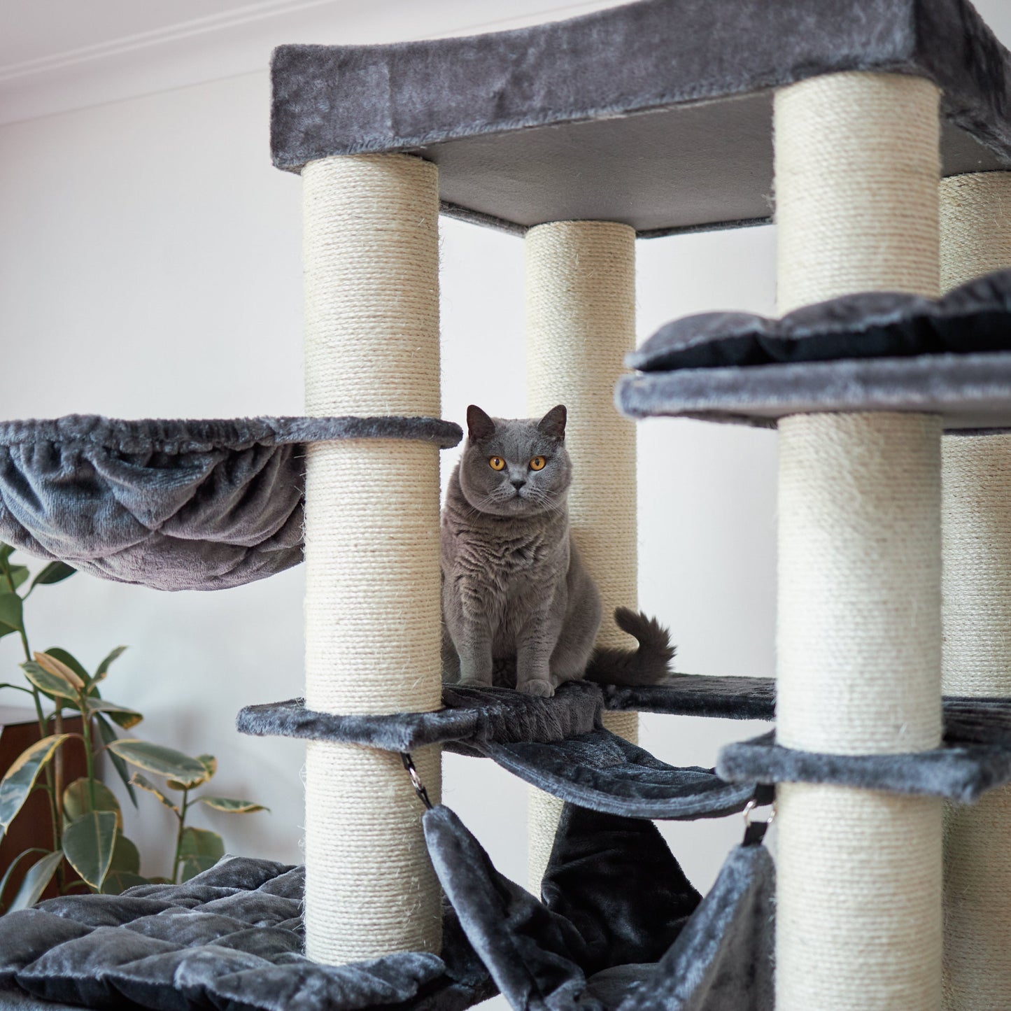 Kitty Tower Playground