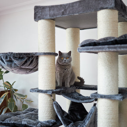 Kitty Tower Playground