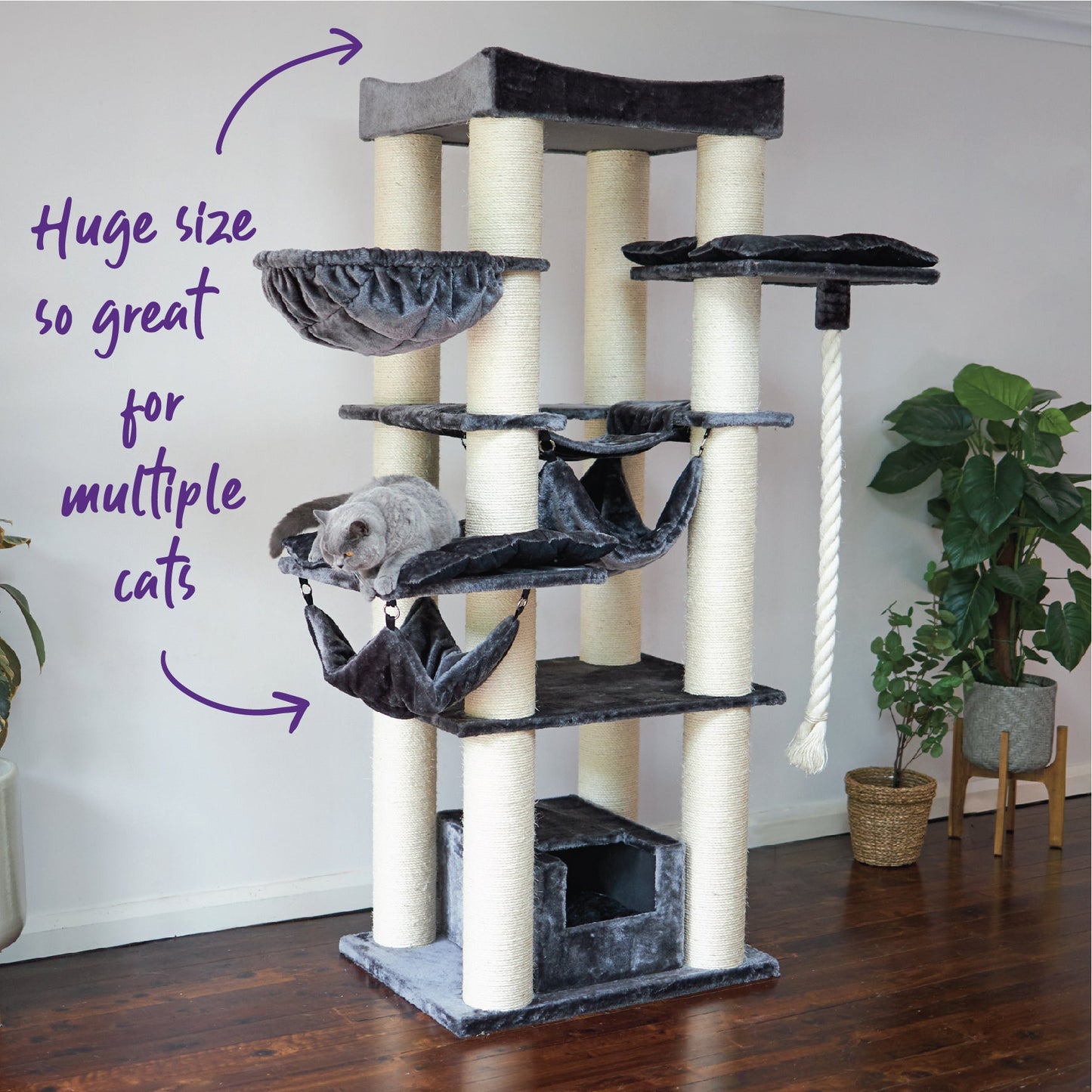 Kitty Tower Playground