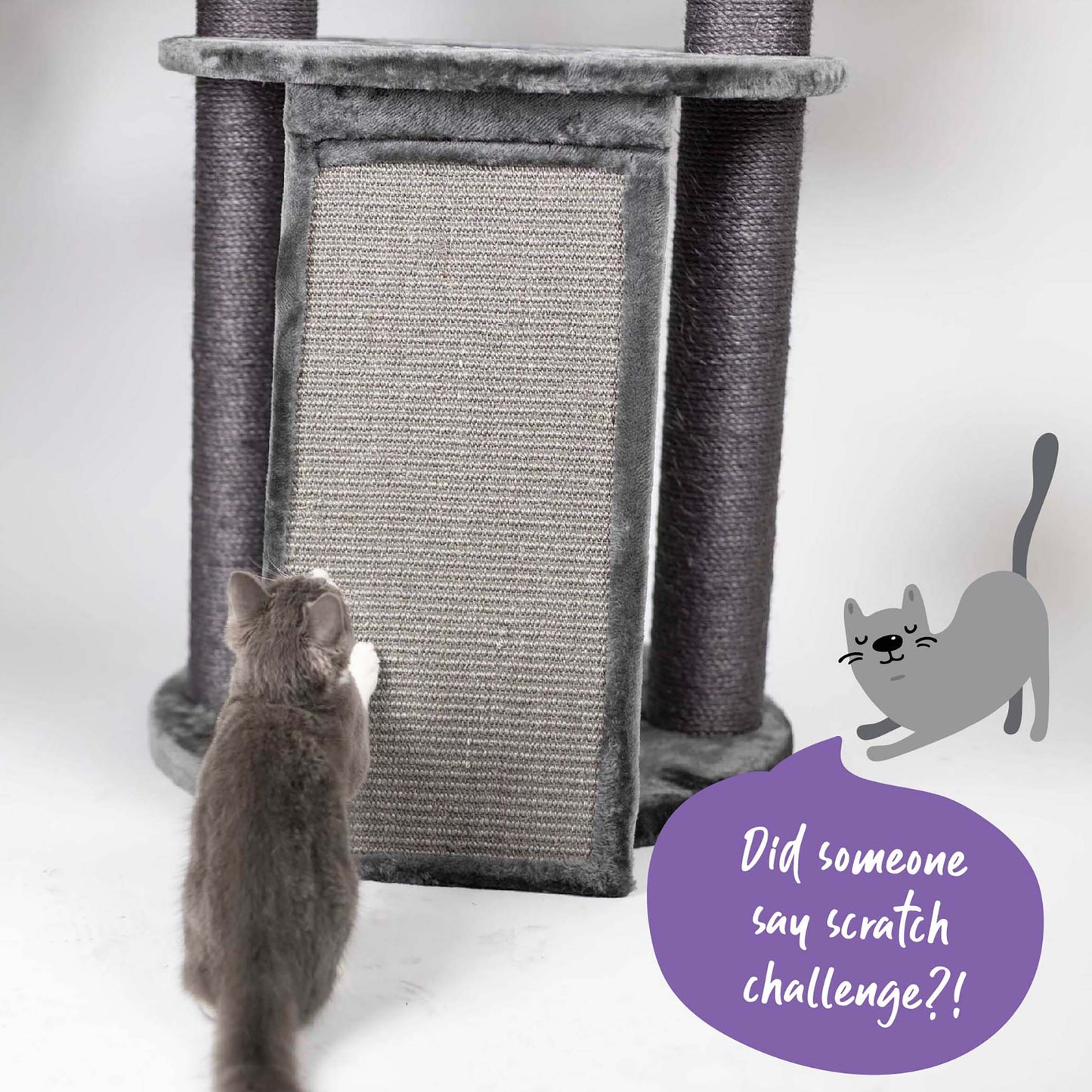 Kitty Scratch & Sleep Post - Charcoal