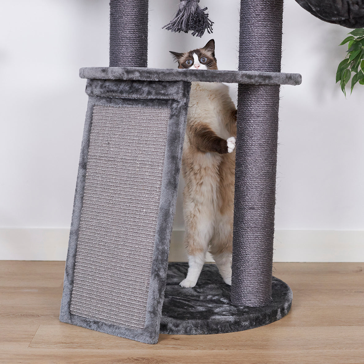 Kitty Scratch & Sleep Post - Charcoal