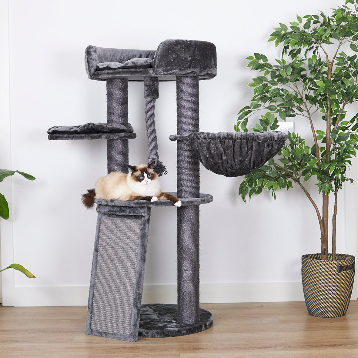 Kitty Scratch & Sleep Post - Charcoal