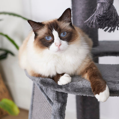 Kitty Scratch & Sleep Post - Charcoal