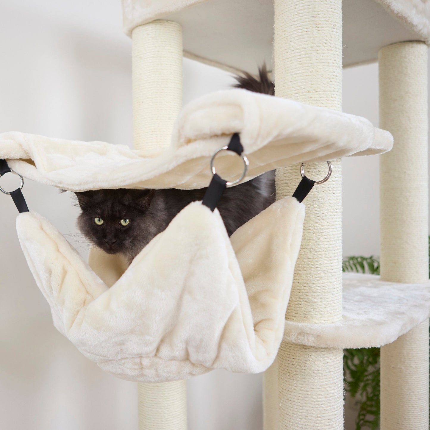 Kitty Climb Playground - Cream