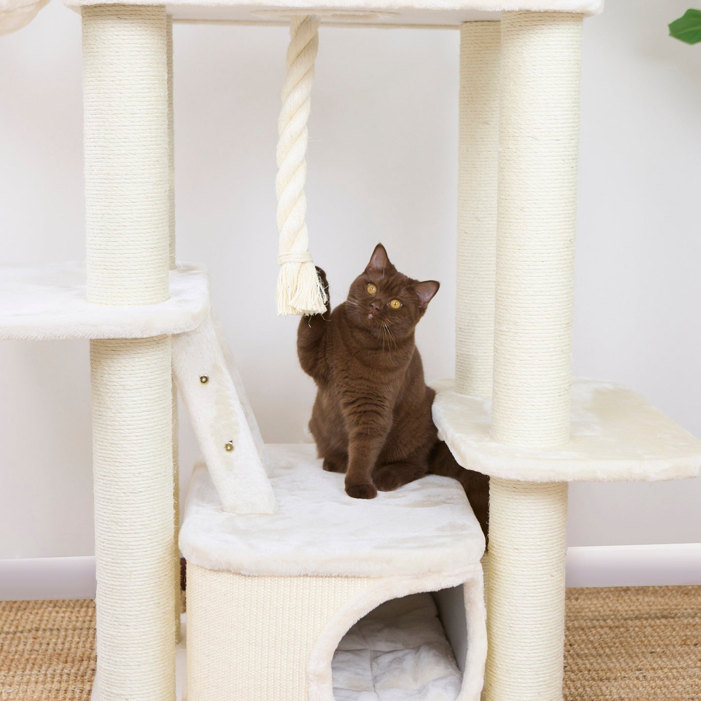 Kitty Climb Playground - Cream