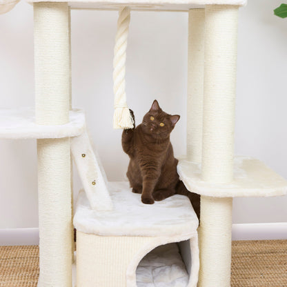 Kitty Climb Playground - Cream