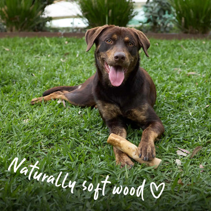 Dental Chew - Coffee Wood Stick